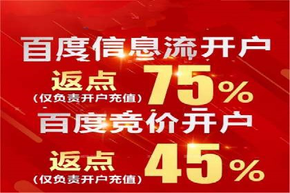 百度竞价广告案例分析：成功之道揭秘
